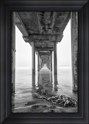Framed Scripps Pier, California (BW) Print