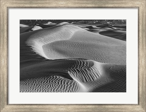Framed Valley Dunes Desert, California (BW) Print