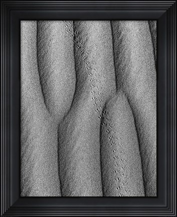 Framed Animal Tracks In The Valley Dunes, California (BW) Print