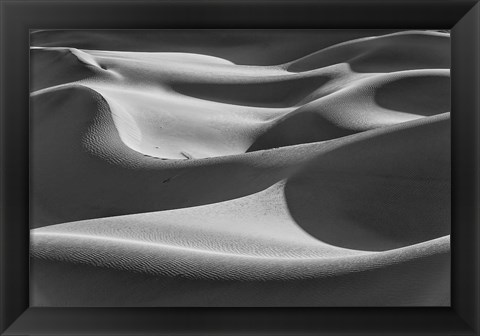 Framed Desert Dunes, California (BW) Print