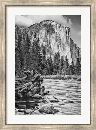Framed California, Yosemite, El Capitan (BW) Print