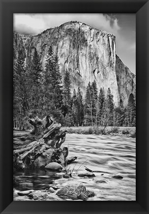 Framed California, Yosemite, El Capitan (BW) Print