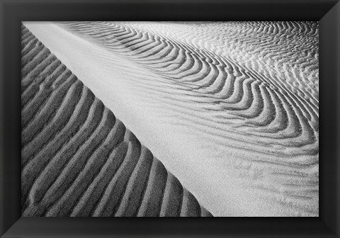 Framed Close Up Of Valley Dunes, California (BW) Print