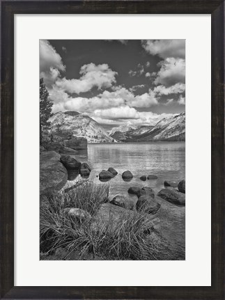 Framed California, Lake Tenaya (BW) Print