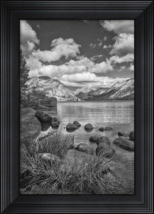 Framed California, Lake Tenaya (BW) Print