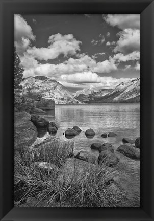 Framed California, Lake Tenaya (BW) Print