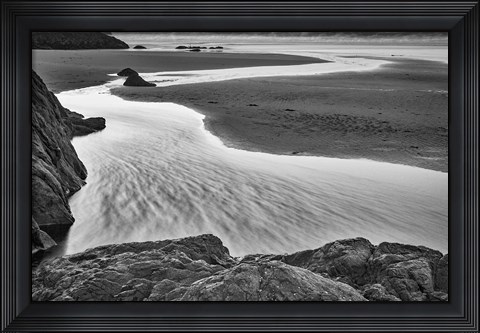 Framed California, Mendocino Jughandler Creek (BW) Print