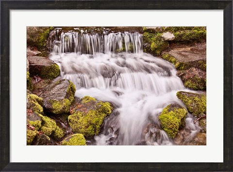 Framed California, Yosemite, Small Falls Print