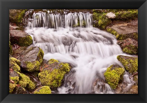 Framed California, Yosemite, Small Falls Print