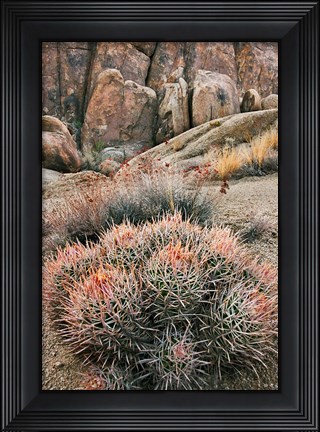 Framed California, Alabama Hills, Cactus Print