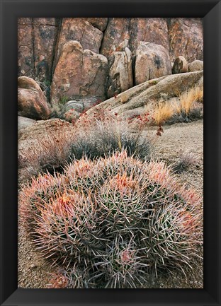 Framed California, Alabama Hills, Cactus Print