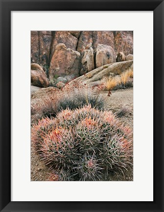 Framed California, Alabama Hills, Cactus Print