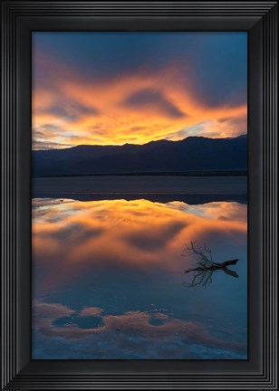 Framed Lone Branch At Cotton Ball Basin Print