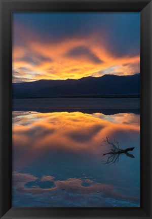 Framed Lone Branch At Cotton Ball Basin Print