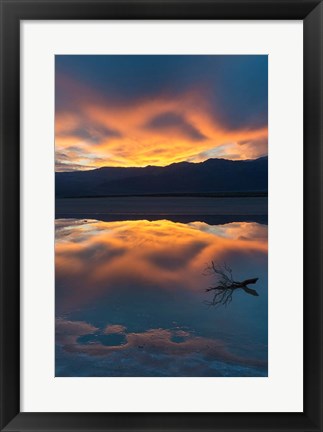 Framed Lone Branch At Cotton Ball Basin Print