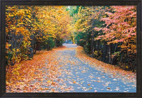 Framed Autumn Along  Mirror Lake Road Print
