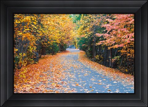 Framed Autumn Along  Mirror Lake Road Print