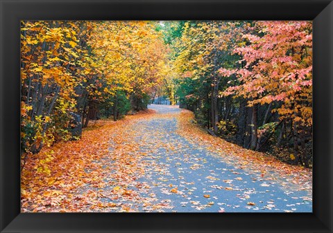 Framed Autumn Along  Mirror Lake Road Print