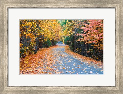 Framed Autumn Along  Mirror Lake Road Print