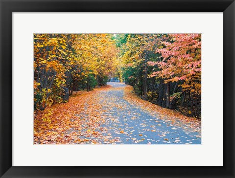 Framed Autumn Along  Mirror Lake Road Print