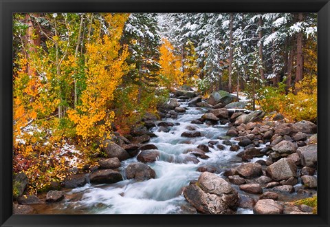 Framed Fresh Snow Along Bishop Creek Print