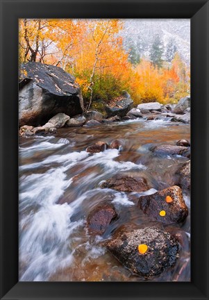 Framed Rushing Water Along Bishop Creek Print