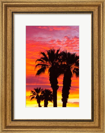 Framed Silhouetted Palms At Sunrise Print