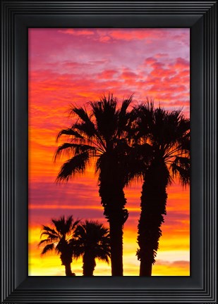 Framed Silhouetted Palms At Sunrise Print