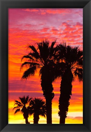 Framed Silhouetted Palms At Sunrise Print