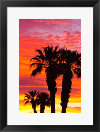 Framed Silhouetted Palms At Sunrise Print