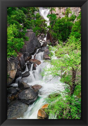Framed Cascade Creek, California Print