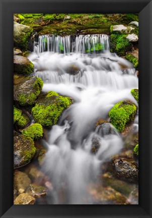 Framed Fern Spring, California Print