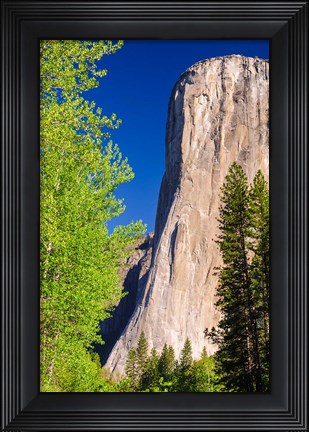 Framed Morning Light On El Capitan Print