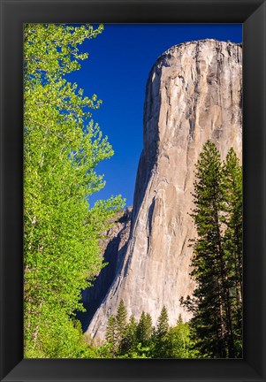 Framed Morning Light On El Capitan Print