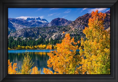 Framed Golden Fall Landscape At June Lake Print