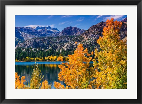 Framed Golden Fall Landscape At June Lake Print