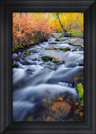 Framed Autumn Colors Along Lundy Creek Print