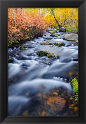 Framed Autumn Colors Along Lundy Creek Print