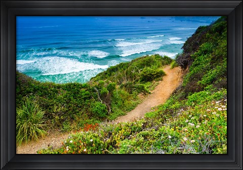 Framed Dirt Trail To Sand Dollar Beach Print