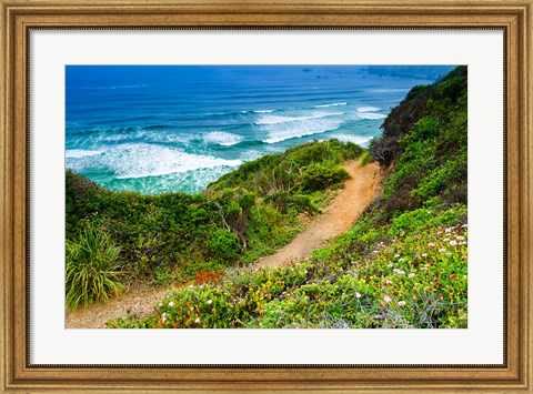 Framed Dirt Trail To Sand Dollar Beach Print
