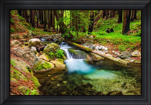 Framed Hare Creek Print