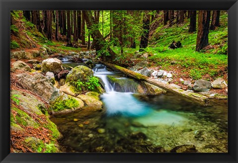 Framed Hare Creek Print