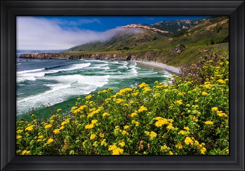 Framed Wildflowers Above Sand Dollar Beach Print