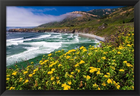 Framed Wildflowers Above Sand Dollar Beach Print