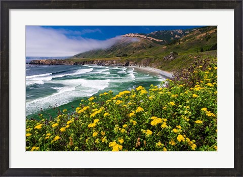 Framed Wildflowers Above Sand Dollar Beach Print