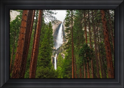 Framed Yosemite Falls Through A Forest Print