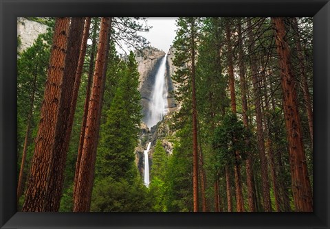 Framed Yosemite Falls Through A Forest Print