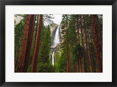 Framed Yosemite Falls Through A Forest Print