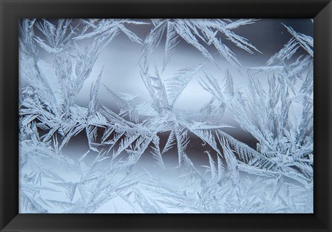 Framed Frost On A Window Print