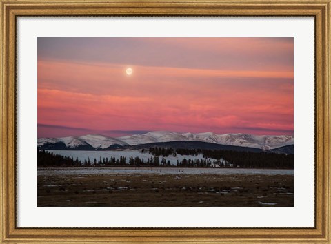 Framed Full Moon And Alpenglow Above Mosquito Range Print